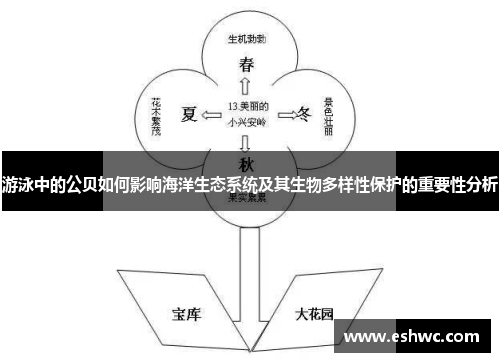 游泳中的公贝如何影响海洋生态系统及其生物多样性保护的重要性分析